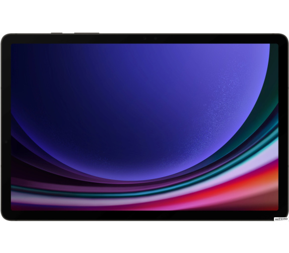             Планшет Samsung Galaxy Tab S9 Wi-Fi SM-X710 8GB/128GB (графитовый)        