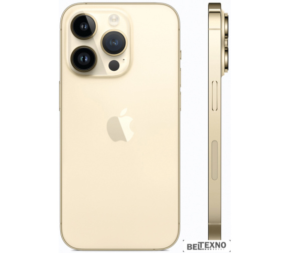             Смартфон Apple iPhone 14 Pro 256GB (золотистый)        