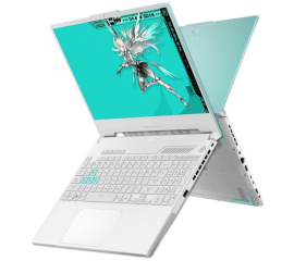 Игровой ноутбук ASUS TUF Gaming A15 2024 FA507UI-HQ061