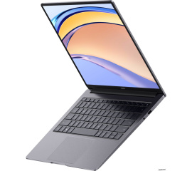             Ноутбук HONOR MagicBook X 14 2023 FRI-F56        
