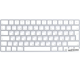             Клавиатура Apple Magic Keyboard [MLA22RU/A]        
