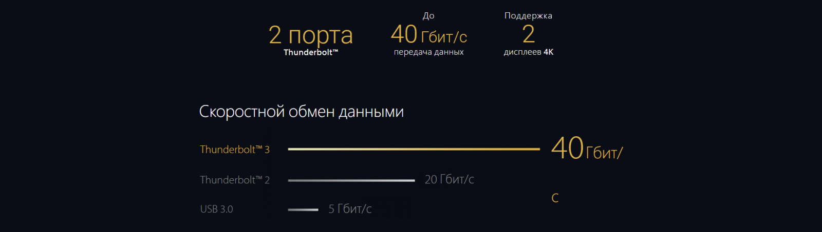 быстрый порт usb type-c Thunderbolt