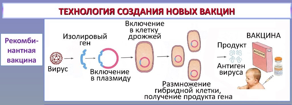 Технология вакцин. МРНК вакцина. Механизм МРНК вакцины. Вакцины на основе матричной РНК. МРНК вакцина принцип действия.