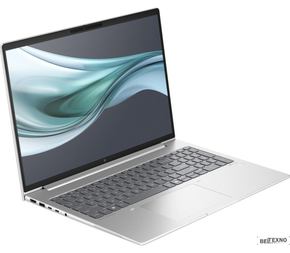       Ноутбук HP EliteBook 660 G11 9C075EA    