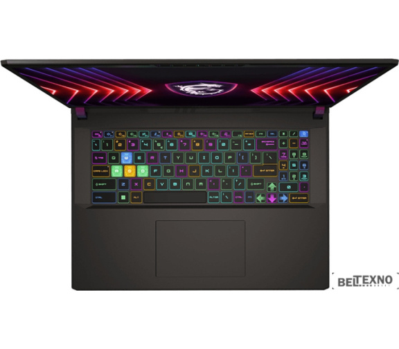             Игровой ноутбук MSI Vector 17 HX A14VGG-238RU        