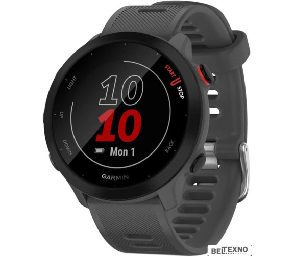       Умные часы Garmin Forerunner 55 (серый)    