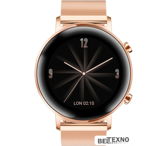            Умные часы Huawei Watch GT2 Classic Edition DAN-B19 42 мм (золотой шампань)        