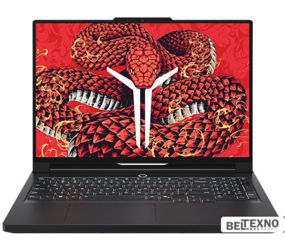  Игровой ноутбук Lenovo Legion R9000P ADR10 83RU000BCD 
