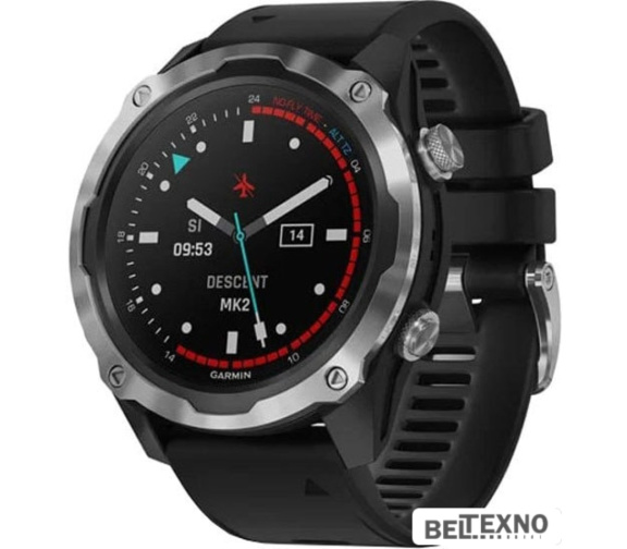            Умные часы Garmin Descent Mk2 (нержавеющая сталь/черный)        