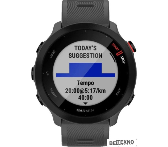       Умные часы Garmin Forerunner 55 (серый)    