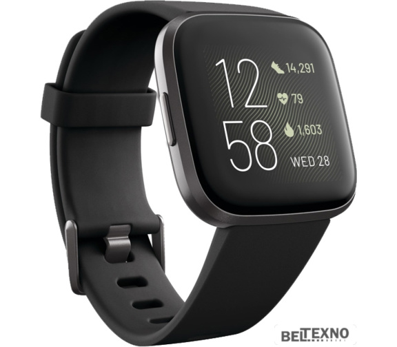             Умные часы Fitbit Versa 2 (черный/черный алюминий)        