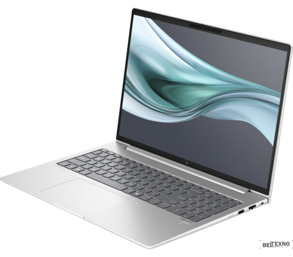       Ноутбук HP EliteBook 660 G11 9C075EA    
