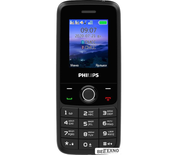             Мобильный телефон Philips Xenium E117 (темно-серый)        