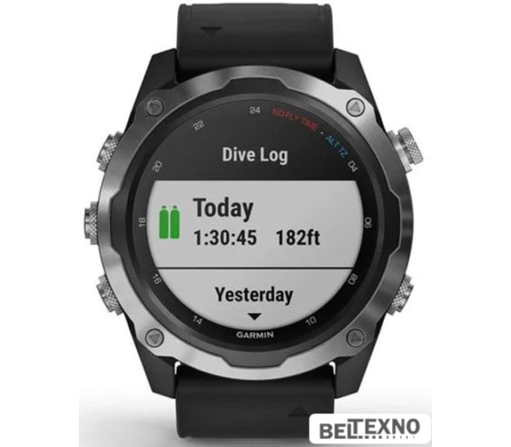             Умные часы Garmin Descent Mk2 (нержавеющая сталь/черный)        