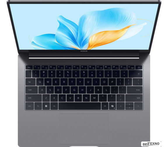       Ноутбук HONOR MagicBook X14 Plus 2025 FRB-X 5301ALWA    