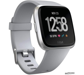             Умные часы Fitbit Versa (серебристый/серый)        