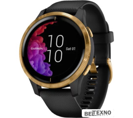             Умные часы Garmin Venu (черный/золотистый)        