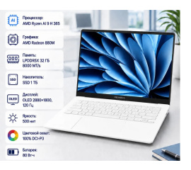 Ноутбук Mechrevo Xingyao 14-9CC4U 5000025727