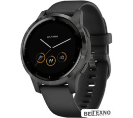             Умные часы Garmin Vivoactive 4s (черный/серый)        