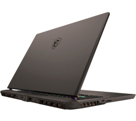Игровой ноутбук MSI Vector 17 HX A14VGG-217RU