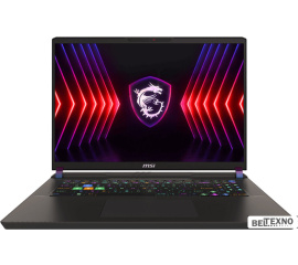             Игровой ноутбук MSI Vector 17 HX A14VGG-238RU        