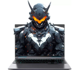 Игровой ноутбук Mechrevo Aurora X FGM-GM1465016516T1B