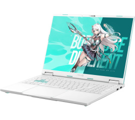 Игровой ноутбук ASUS TUF Gaming A16 2025 FA608FP-QT033 32GB