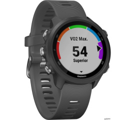             Умные часы Garmin Forerunner 245 (серый)        