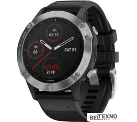             Умные часы Garmin Fenix 6 (серебристый/черный)        