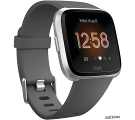            Умные часы Fitbit Versa Lite Edition (серый)        