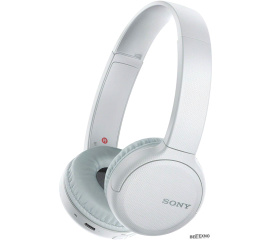             Наушники Sony WH-CH510 (белый)        