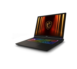 Игровой ноутбук MSI Vector 17 HX AI A2XWIG-070CN