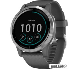             Умные часы Garmin Vivoactive 4 (серый/серебристый)        