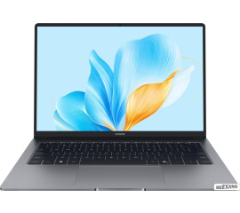       Ноутбук HONOR MagicBook X14 Plus 2025 FRB-X 5301ALWA    