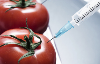 ГМО продукты: насколько они опасны